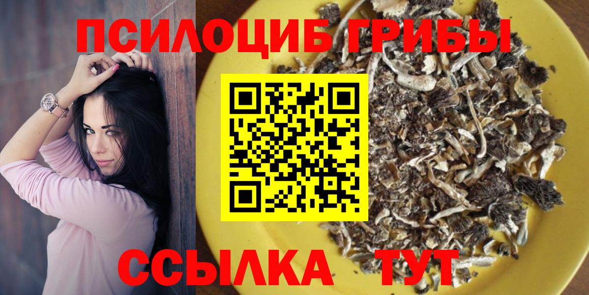 Псилоцибиновые грибы Psilocybe  Вход с VPN  Ртищево 
