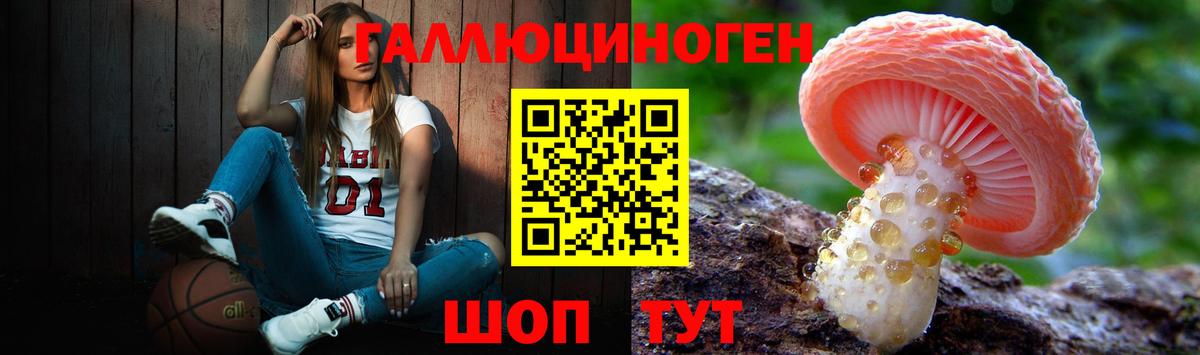 Псилоцибиновые грибы мицелий Ртищево
